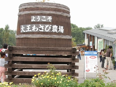 lkojiuyt